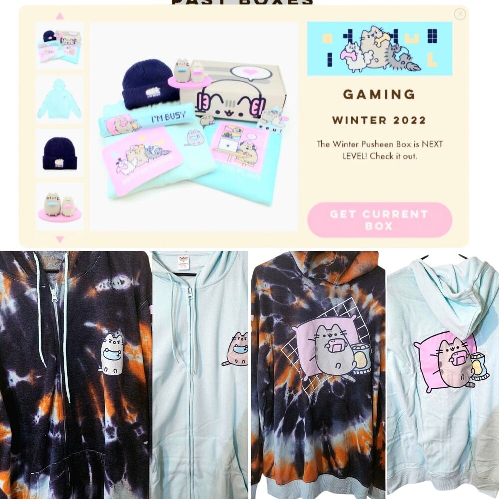 CUSTOM NIB Winter 2022 Pusheen NEXT LEVEL! box!
